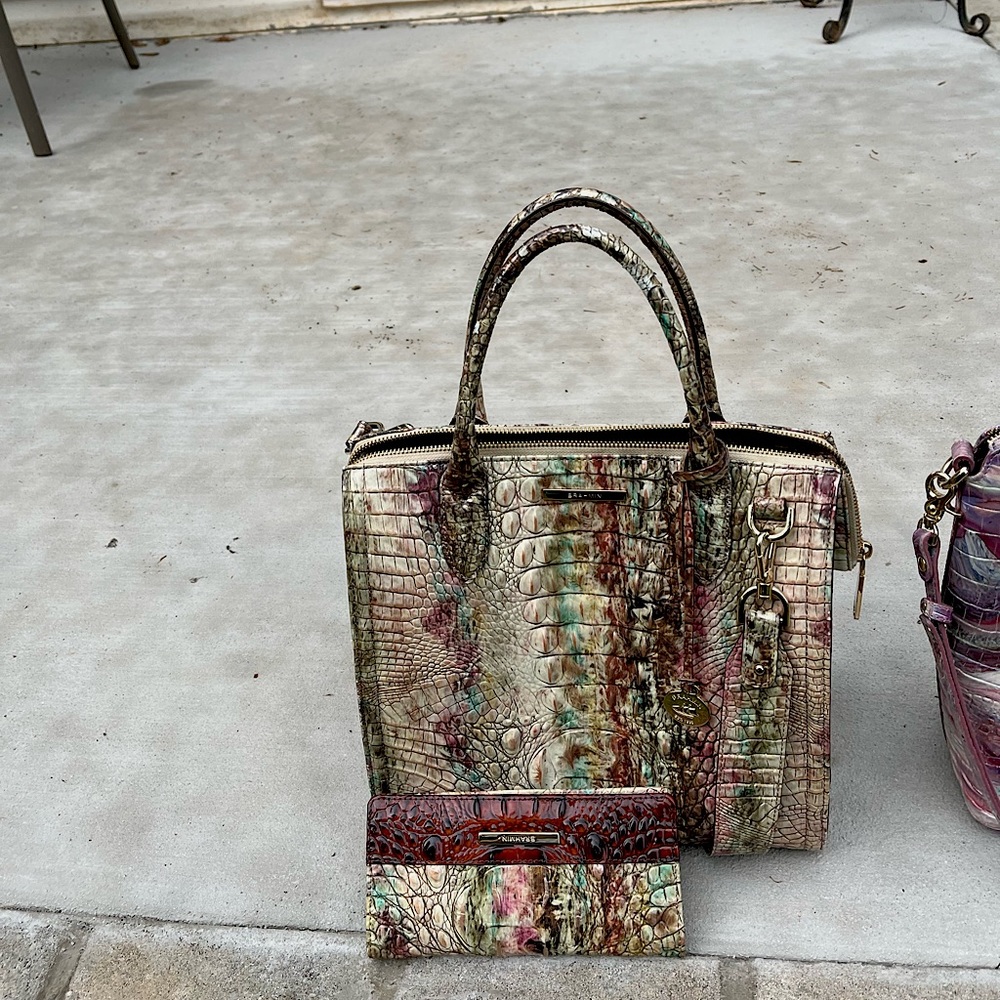 Brahmin pocketbook